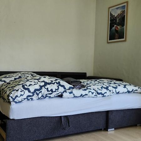 Schoene Ferienwohnung In Traumlage Fewo Solohike سيليسبيرغ المظهر الخارجي الصورة
