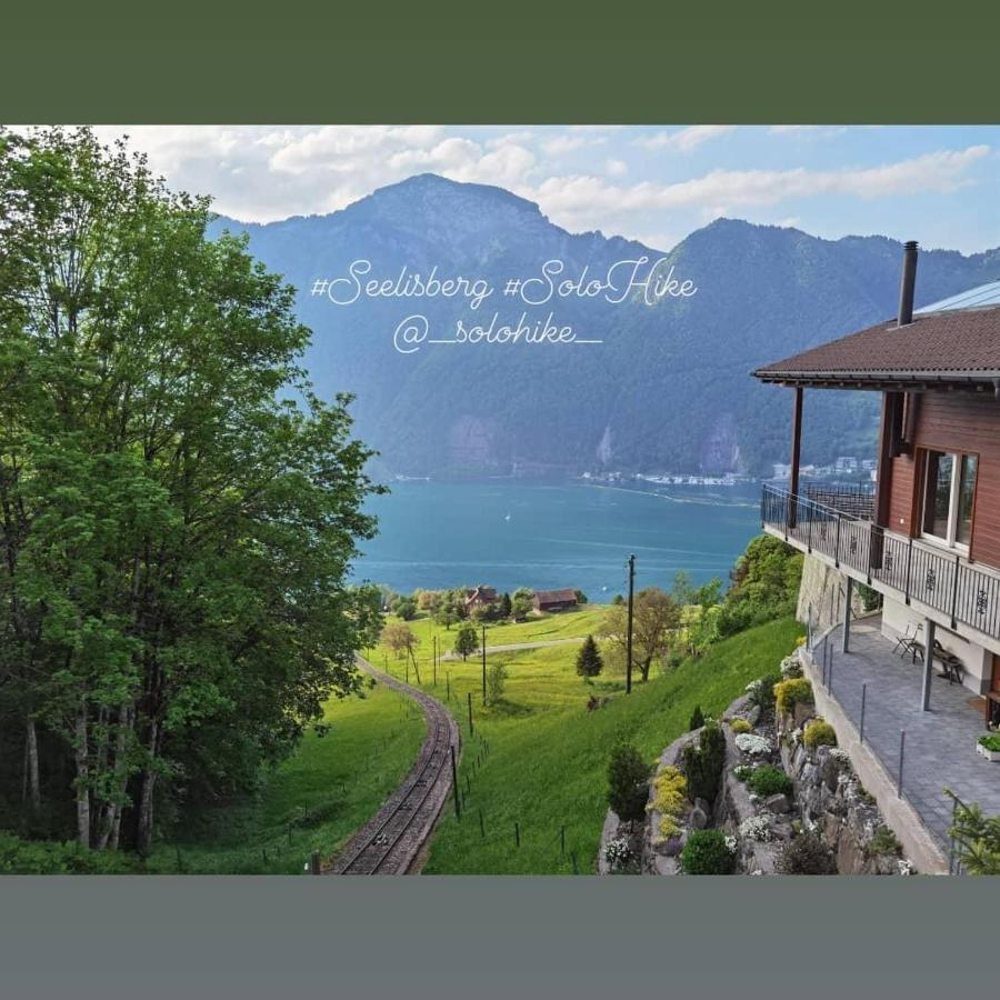 Schoene Ferienwohnung In Traumlage Fewo Solohike سيليسبيرغ المظهر الخارجي الصورة