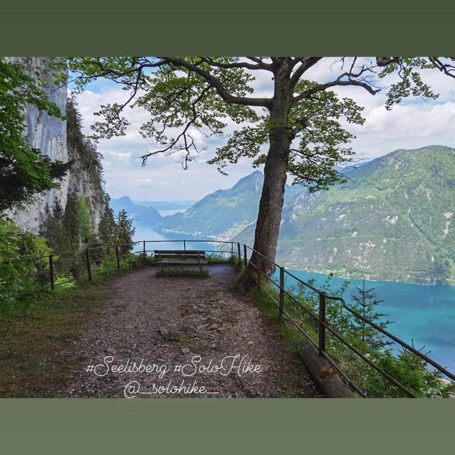 Schoene Ferienwohnung In Traumlage Fewo Solohike سيليسبيرغ المظهر الخارجي الصورة